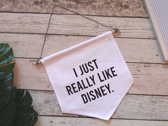 I just really like Disney Pennant Flag
