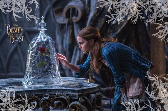 Disney Beauty And The Beast - Rose Wall Poster