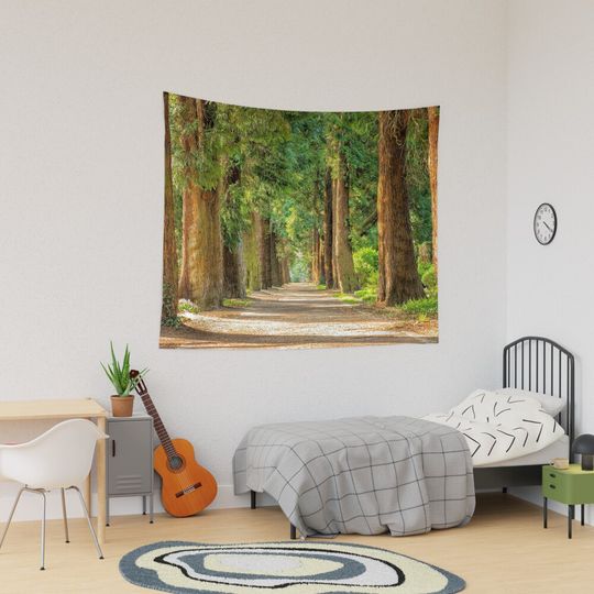 Discover Back country road avenue of redwood trees nature forest color landscape Tapestry