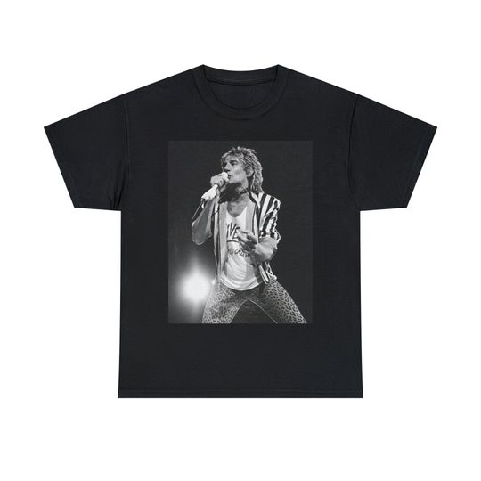 Rod Stewart Retro Aesthetic 70s Music T-Shirt