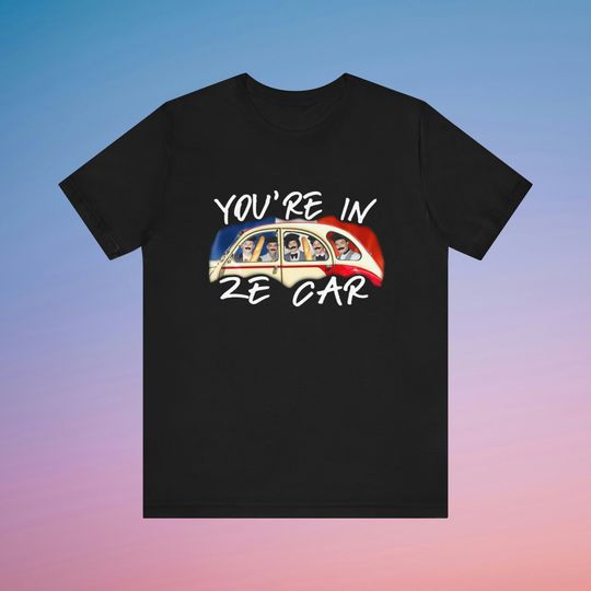 Funny One Direction T Shirt, Niall Horan Harry Zayn Malik Louis Tomlinson Liam Payne Shirt