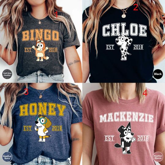 BlueyDad Shirt, Mothers Day Gift, BlueyDad Birthday Shirt, BlueyDad Family Shirt, Trending Shirt, Family Shirt, BlueyDad Characters Shirt