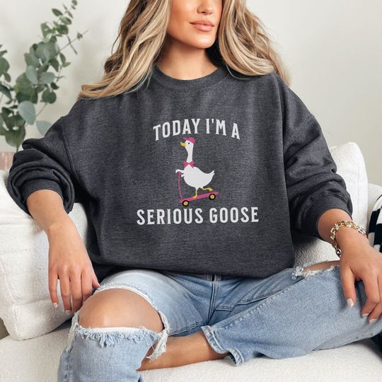 Today I'm A Serious Goose Silly Goose Sweatshirt, Duck Hoodie Sweatshirt