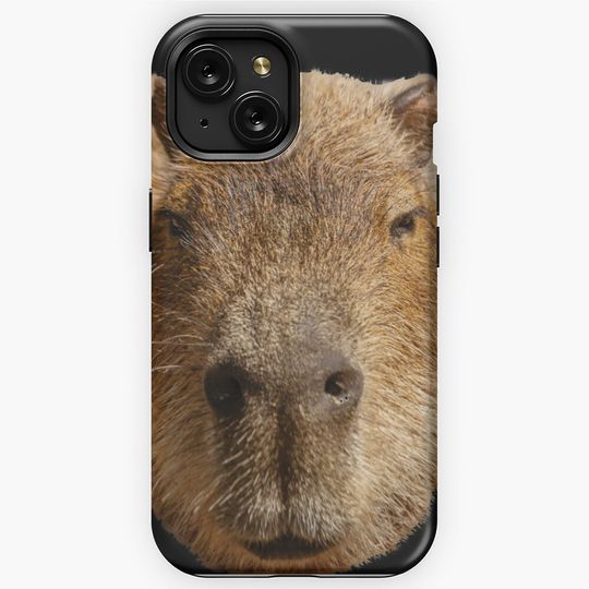 Male Capybara Face Upclose iPhone Case