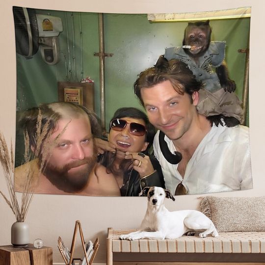 Hangover Tapestry Funny Meme Tapestries, Art Print for Bedroom Wall Hanging Decor