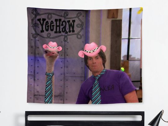 Spencer Shay and ostrich Tapestry Funny Meme Tapestry, Wall Hanging Dorm Backdrop Wall Art