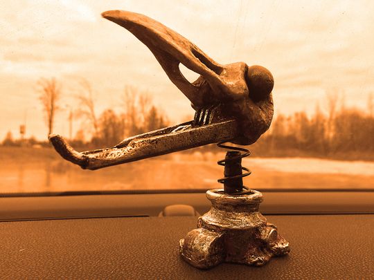 Nux 's Bird Bobblehead Mad Max Fury Road wasteland post apocalyptic