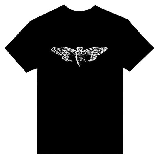 Cicada 3301 Heavyweight Unisex Crewneck T-shirt