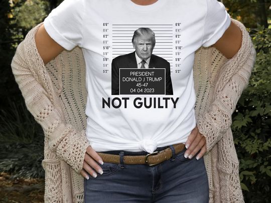 Trump not guilty shirt, Donald Trump shirt, President shirt, 2024 shirt, Trump 2024 shirt, Free Trump Shirt