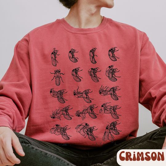 Cicada shirt, Cicada 2024 Sweatshirt