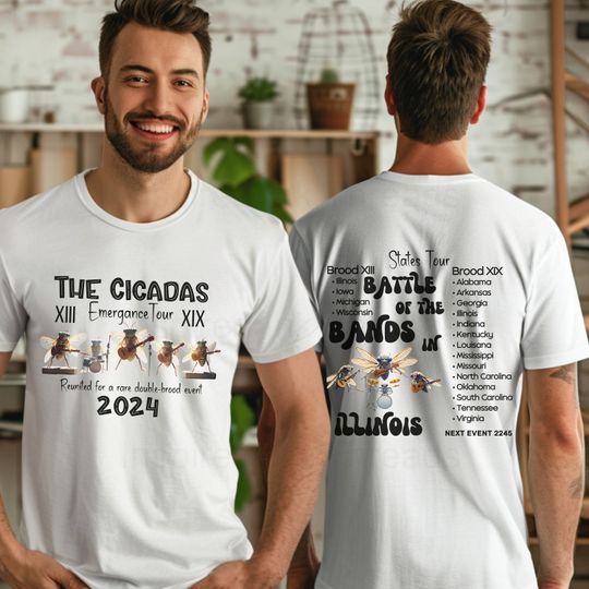Cicada Shirt, Cicada Reunion T-shirt, Funny Cicada Summer 2024 shirt