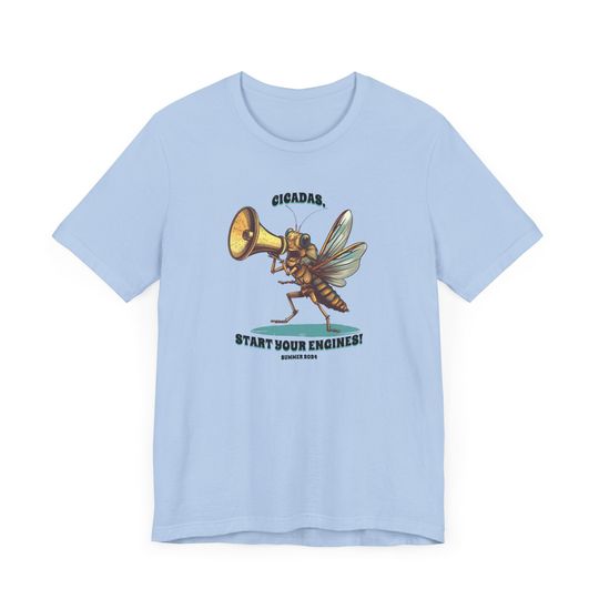 Cicada Reunion Summer 2024 Tour Shirt, Cicada Concert Shirt