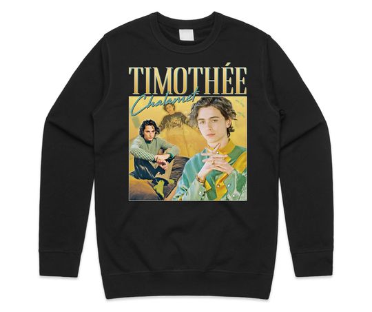 Timothee Chalamet Homage Jumper Sweatshirt, Timothy Wonka Actor Vintage, Vintage Long Sleeve Sweatshirt, Gift For Men Women