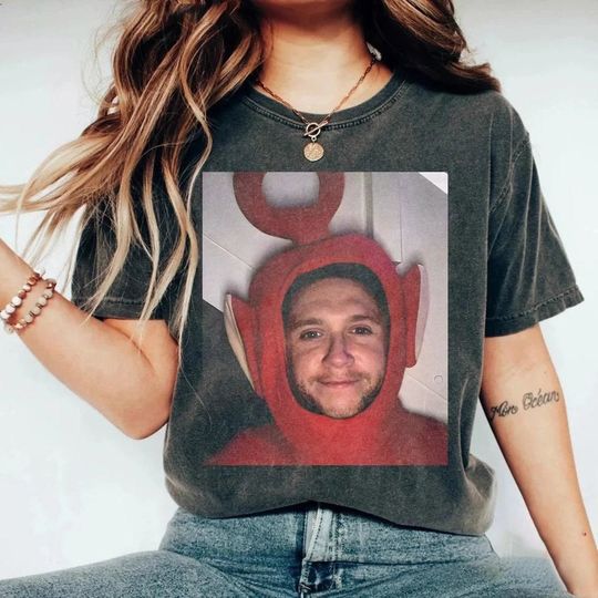 Funny Niall Horan 2024 T-Shirt, The Show Tour 2024 Shirt, Niall Horan 2024 Shirt, Irish Boys Niall Horan Gifts, Niall Horan Meme Shirts