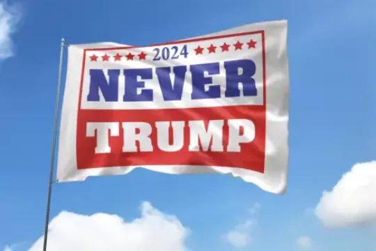 Never Trump 2024 Vote Biden Harris For President Political Election Flag, US Election 2024, Political, Home and Living