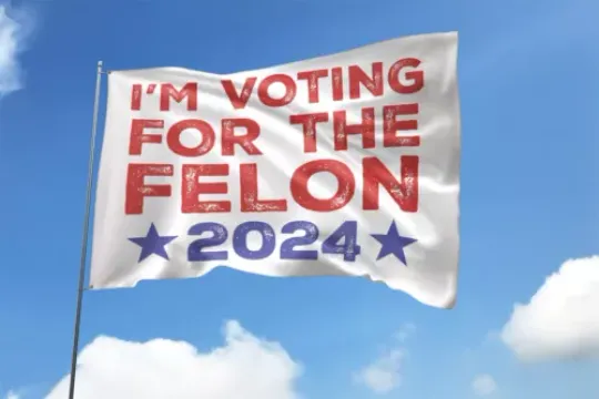 I'm Voting For The Felon 2024 Still Stand With Trump Presidential Election Flag, US Election 2024, Political, Home and Living