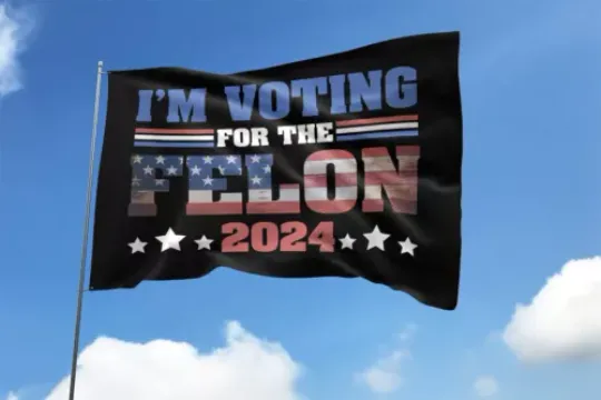 I'm Voting For The Felon 2024 Still Stand With Trump Funny Political Flag, US Election 2024, Political, Home and Living