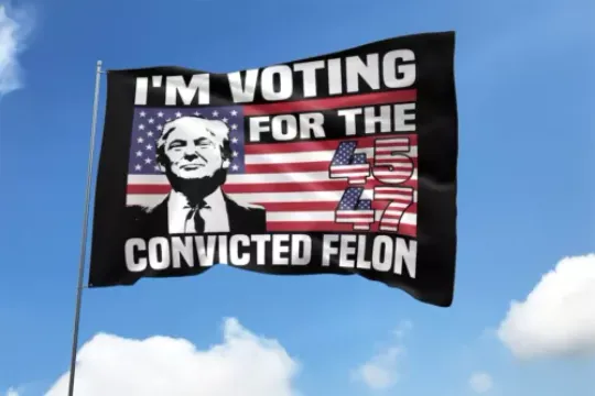 I'm Voting For The Convicted Felon Trump 45th And 47th U.S President Flag, US Election 2024, Political, Home and Living