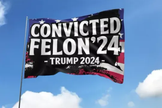 Convicted Felon' 24 Trump 2024 Make America Great Again Flag, US Election 2024, Political, Home and Living