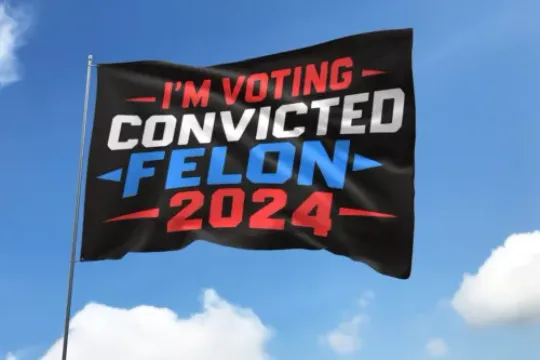 I'm Voting Convicted Felon 2024 Trump Supporters Presidential Election Flag, US Election 2024, Political, Home and Living