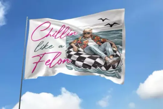 Chillin Like A Felon Trump Summer 2024 US President Vote Election 2024 House Flag, US Election 2024 Flag, Home and Living, For Decoration