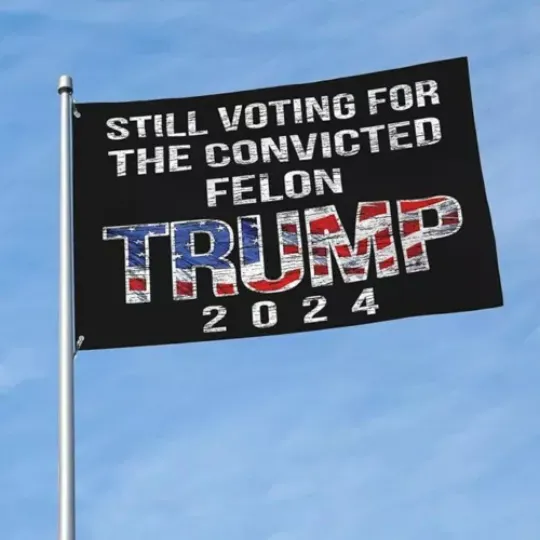 Still Voting For The Convicted Felon Trump 2024 For President House Flag, US Election 2024 Flag, Home and Living, For Decoration