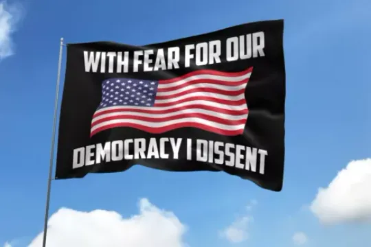 With Fear For Our Democracy I Dissent Vote Blue Save Democracy House Flag, US Election 2024 Flag, Home and Living, For Decoration