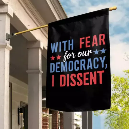 With Fear For Our Democracy I Dissent Nope Trump Vote For Biden House Flag, US Election 2024 Flag, Home and Living, For Decoration