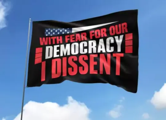 With Fear For Our Democracy I Dissent Trump Stop Project 2025 Vote Blue House Flag, US Election 2024 Flag, Home and Living, For Decoration