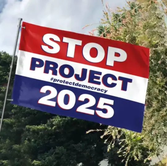 Protect Project 2025 Protect Democracy Vote Blue Biden Harris For President House Flag, US Election 2024 Flag, Home and Living, For Decoration