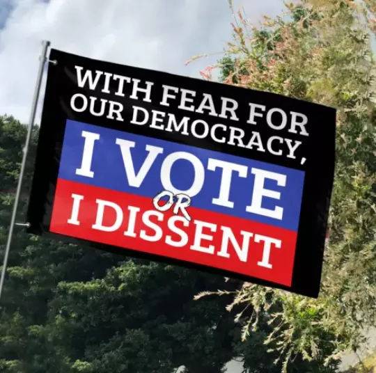 With Fear For Our Democracy I Vote Or Dissent Presidential Election 2024 House Flag, US Election 2024 Flag, Home and Living, For Decoration