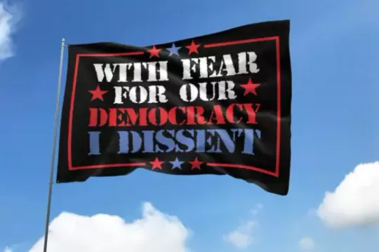With Fear For Our Democracy I Dissent Court Decision Quote Vote 2024 House Flag, US Election 2024 Flag, Home and Living, For Decoration