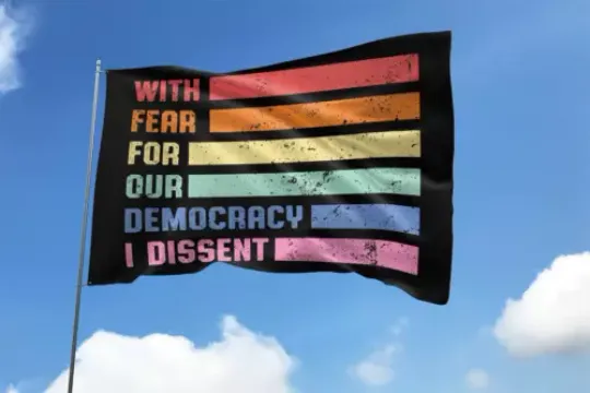 With Fear For Our Democracy I Dissent Supreme Court 2024 Election House Flag, US Election 2024 Flag, Home and Living, For Decoration