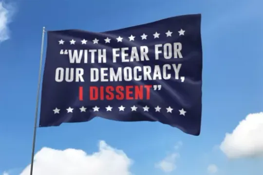 With Fear For Our Democracy I Dissent Vote Blue Save Democracy House Flag, US Election 2024 Flag, Home and Living, For Decoration