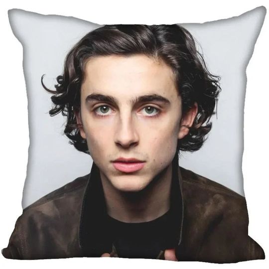 Timothe Chalamet Pillow, Birthday Gift For Girl Father's Day Gift Mother's Day Gift Body Pillows, Christmas Gift Valentine Gift For Her