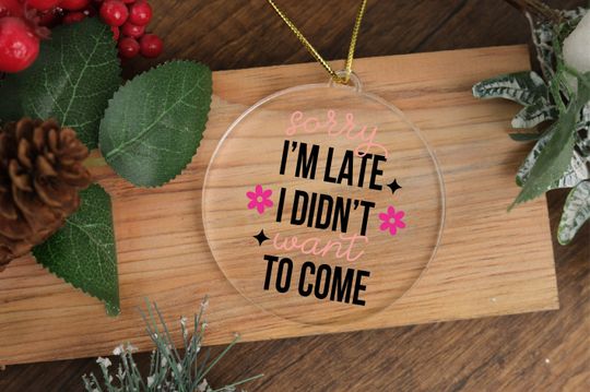 Funny Gifts for Office Staff,Christmas Ornament,Sorry I'm Late I Didn't Want to Come Ornament,Tree Decoration,Funny Ornament,Co-worker Gift
