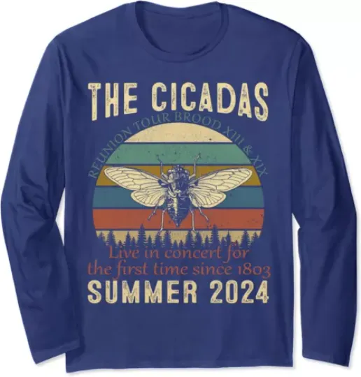Retro Cicada Brood Summer 2024 Reunion Tour Long Sleeve Tshirt