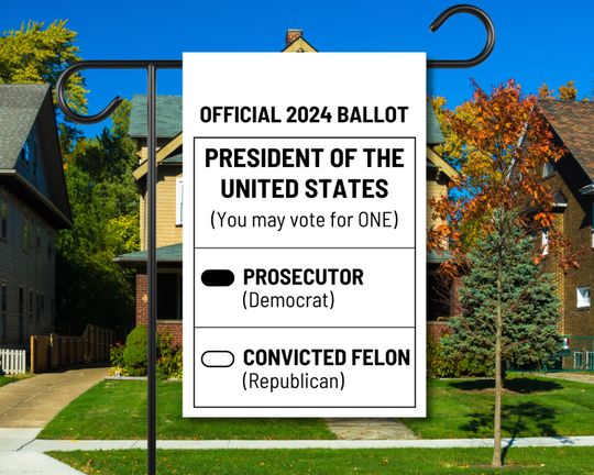 Kamala Harris for President Democrat Lawn Sign Prosecutor or Felon 2024