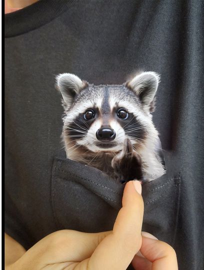 Humor Raccoon Hidden Middle Finger Pocket - Funny Raccoon Print - Raccoon T-shirt Unique Gift Idea - Funny Raccoon T-shirt