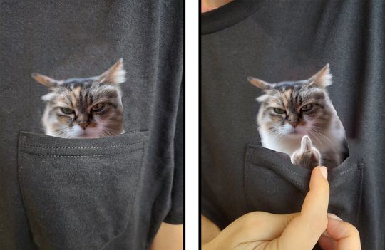 Humor Cat Hidden Middle Finger Pocket - Funny Cat Print - Cat Lover T-shirt Unique Gift Idea - Funny Cat T-shirt