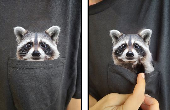Funny Raccoon Shirt - Humor Raccoon Hidden Middle Finger Pocket - Raccoon T-shirt Unique Gift Idea - Funny Raccoon T-shirt