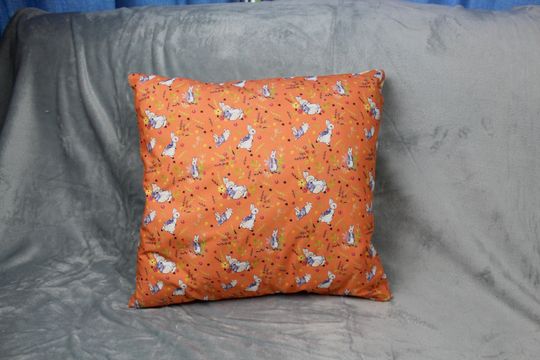 Discover Peter Rabbit Cushion Bunny Cushion Disney Cushion Canvas Cushion Cotton