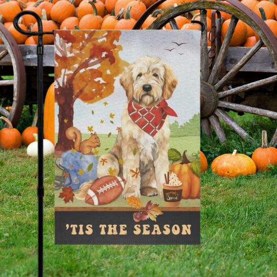 Discover Goldendoodle Fall Garden Flag, Football, Pumpkin Spice, Doodle Dog Flag