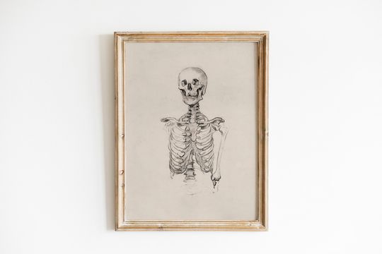Discover Antique Skeleton Artwork Halloween Printable | Day of the Dead Wall Art