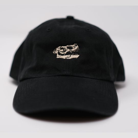 Discover T-Rex Skull dad hat