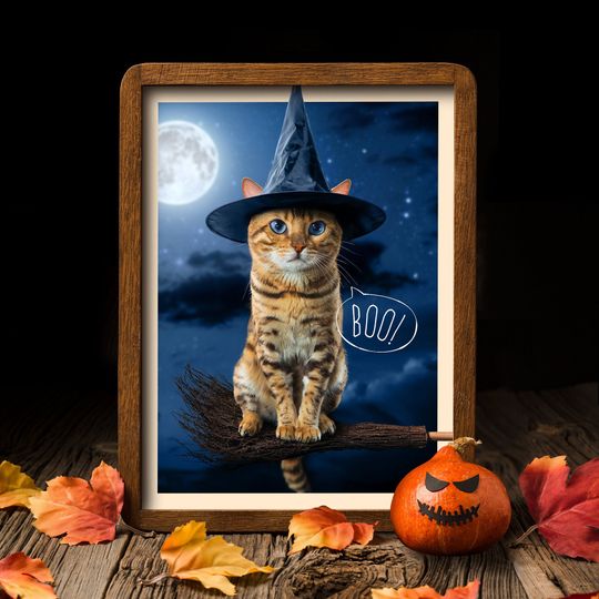 Witch Poster, Funny Cat Poster, Halloween Poster, Photo Manipulation