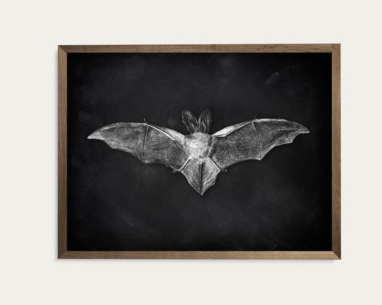 Bat Poster,Halloween Bat Printable Wall Art,Bat Sketch Print