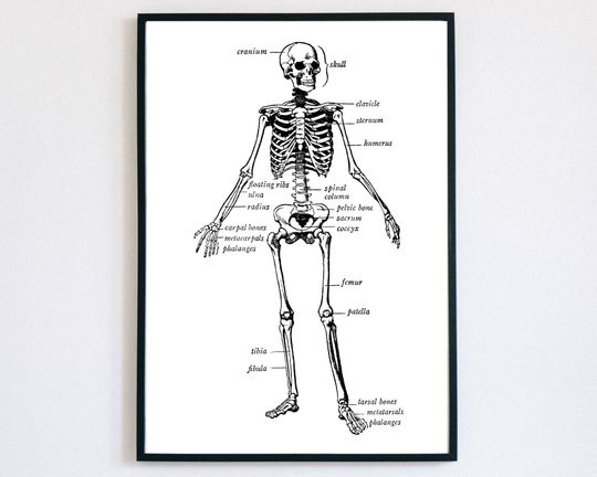 Discover Skeleton White & Black | Halloween Wall Decor | Wall Art Print | Typography