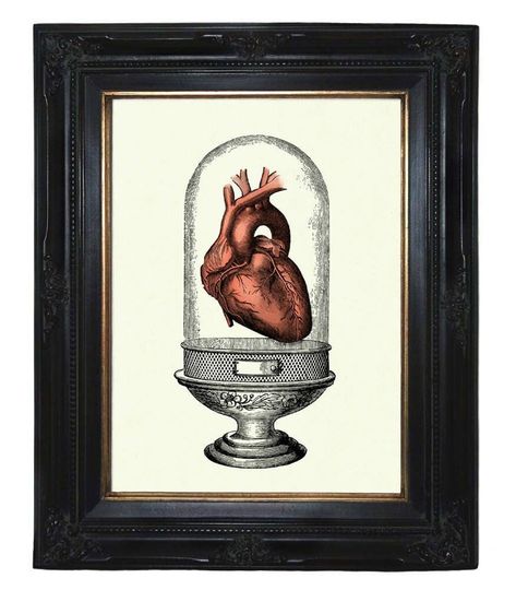 Anatomical Heart Glass Dome Love Valentine's Day Dark Academia