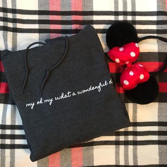 Discover My Oh My What a Wonderful Day Disney Splash Mountain Disney Hoodie